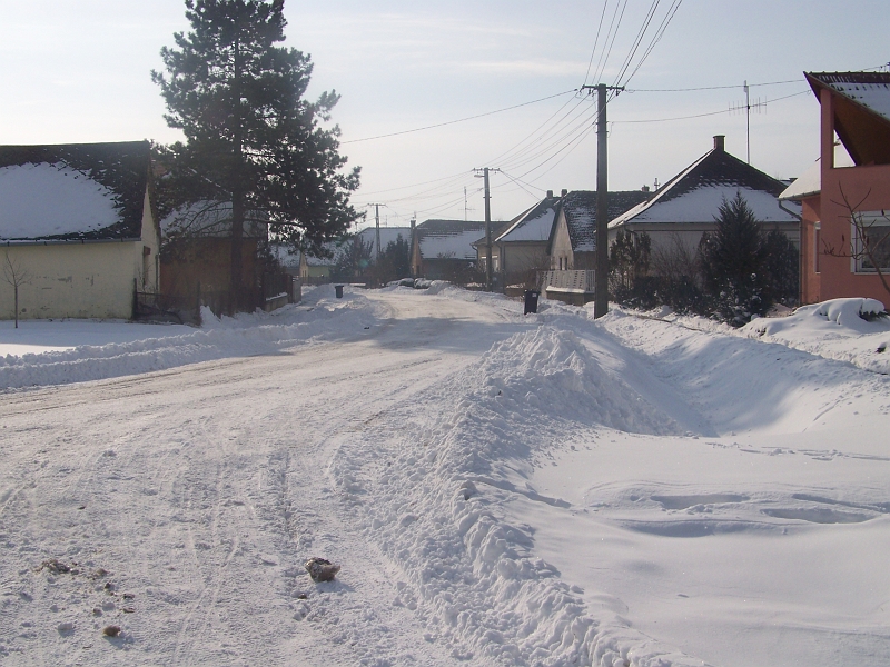 2012.02.09. 040.jpg